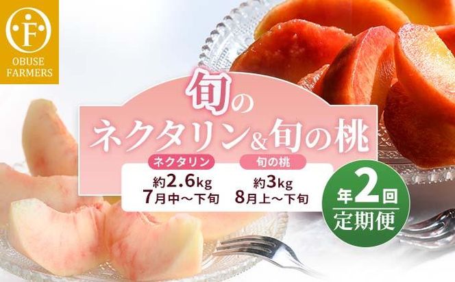 [2回定期便] 旬のネクタリン＆旬の桃 約2.6～3kg 食べ比べ 年2回定期便 ［おぶせファーマーズ］ネクタリン 白桃 旬の桃　ルーツ 果物 冷蔵便 クール便 長野県産 信州産 小布施 令和8年産【2026年7月中旬～8月下旬発送】