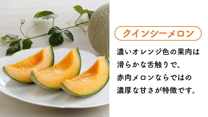 【5月下旬頃より発送】茨城県産 青肉・赤肉メロンセット 秀品または優品 3Lまたは4Lサイズ×各1玉入 おすすめ JA全農いばらき JA メロン めろん フルーツ くだもの 果物 国産旬 定番 旬 期間限定 青肉 赤肉 食べ比べ アンデス クインシー エルソル