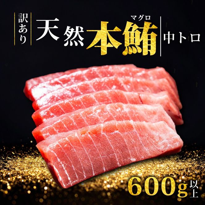 【スピード発送】 天然本まぐろ 中トロ 600g以上 訳あり まぐろ 刺身 さしみ 刺し身 鮮魚 まぐろ赤身 鮪 魚介 魚 マグロ 漬け ユッケ 海鮮丼 国産 天然まぐろ 高級 天然 人気 寿司 本鮪 お正月 年末 冷凍 三陸 大船渡 岩手 冊 ギフト ごちそう