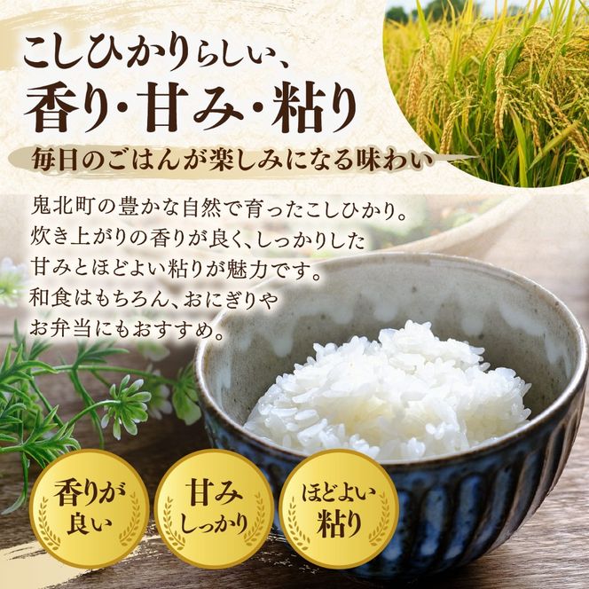 【先行予約】【令和8年産】鬼北町産 こしひかり 5kg 【米屋仕上げ】| R8年産 新米 精米 白米 ご飯 米 コシヒカリ お米のまつや 株式会社ドイ 愛媛県鬼北町