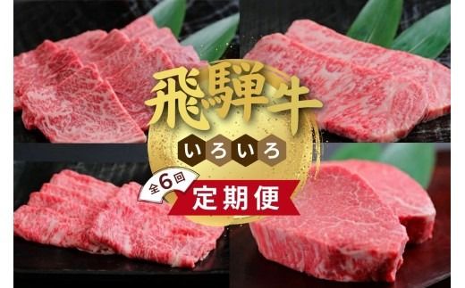 飛騨牛 いろいろ 定期便　毎月お届け全6回 食べ切り 約2人前｜牛肉 セット 牛肉セット 限定 食べ比べ アソート 国産 和牛 ブランド牛 飛騨 牛肉ギフト 飛騨牛ギフト 飛騨牛赤身すきやき 牛肉赤身 飛騨牛しゃぶしゃぶ 赤身飛騨牛 飛騨牛 牛肉 すきやき しゃぶしゃぶ 赤身 飛騨牛赤身 飛騨牛すき焼き 飛騨牛スキヤキ 牛肉すきやき すき焼き すき焼き用※離島への配送不可