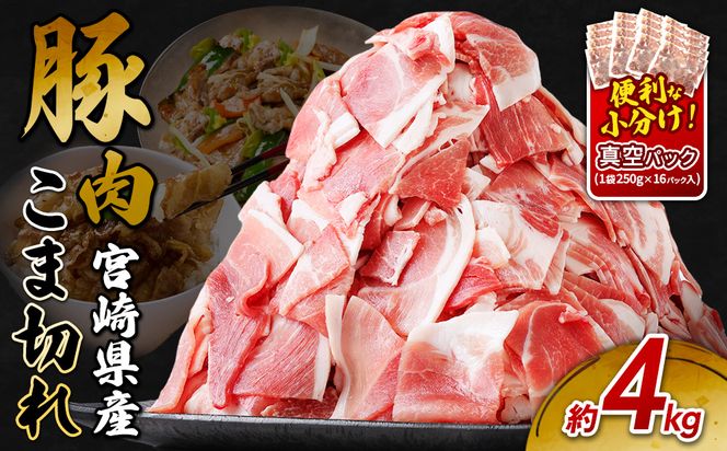 宮崎県産 いもこ豚 小間切れ 4kg (250g×16パック) 真空パック 小分け 豚肉 国産 えびの市