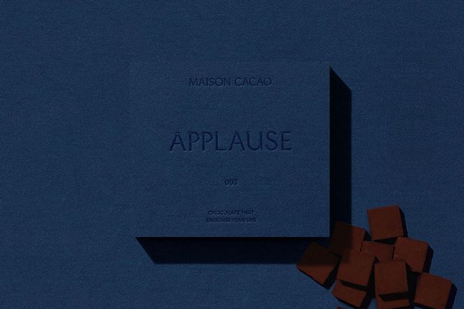 MAISON CACAO メゾンカカオ アロマ生チョコレート 2種セット（16粒×2箱）ハイカカオ パッションフルーツ ギフトボックス入 冷凍配送 神奈川県茅ヶ崎市