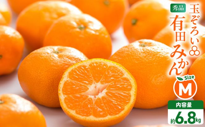 MK1045_2月28日終了！ 最短出荷すぐ届く！みかん Ｍサイズ 秀品 箱込 7.5kg ( 内容量 6.8kg ) 有田みかん 和歌山県産 産地直送 贈答用 【みかんの会】