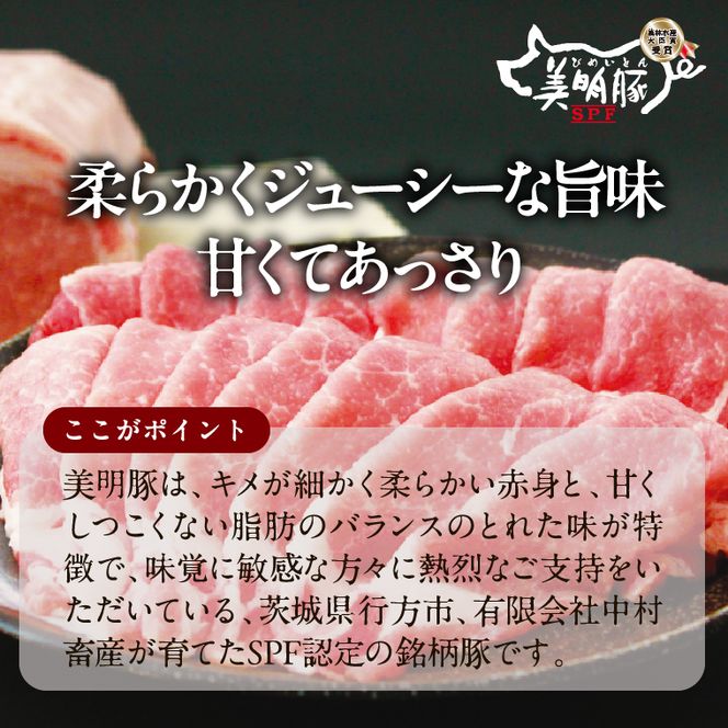 【餃子】スープ 餃子 1袋 博多豚骨｜惣菜 冷凍食品 茨城県 行方市(HJ-8)