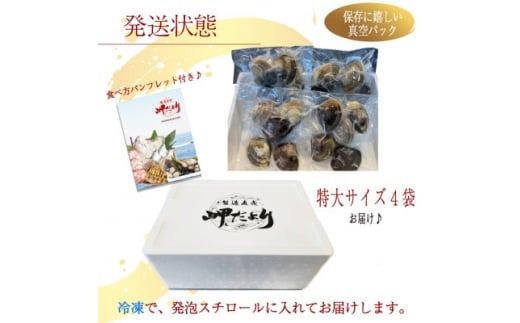 岬だよりの 希少 天然はまぐり 特大サイズ 500g×4袋