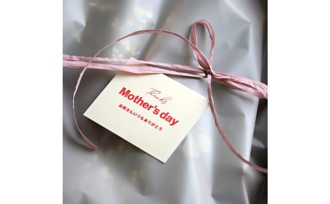 【母の日】森の香りのグリーンリース 313726_BC038