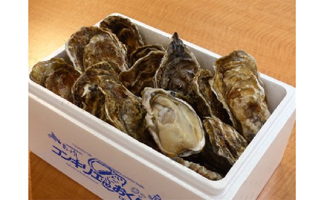 道の駅『コンキリエ』殻牡蠣食べ放題、牡蠣剥き体験セットお土産付 お食事券 チケット 体験チケット 魚介類 カキ 