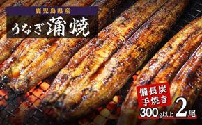 鹿児島県大隅産 うなぎ備長炭手焼蒲焼２尾(合計300g以上） 464686_AK47