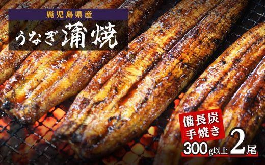 鹿児島県大隅産 うなぎ備長炭手焼蒲焼２尾(合計300g以上） 464686_AK47