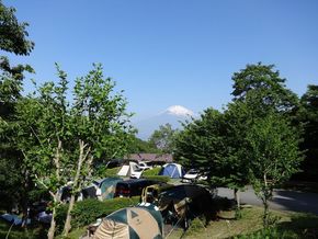 乙女森林公園第２キャンプ場宿泊券（テントサイト：5名）