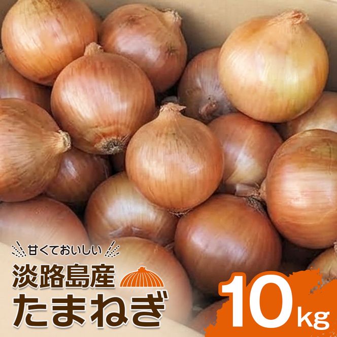 淡路島産たまねぎ10kg　玉ねぎ