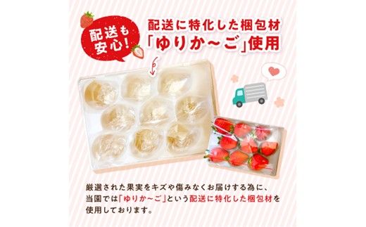 ★先行予約★はたやのいちご 2Pセット[1月中旬より順次発送]《 いちご 苺 イチゴ フルーツ 果物 国産 フルーツ工房はたや あまえくぼ 章姫 あまクイーン ロイヤルクイーン ぽりっちご あまおとめ 堅しろう 》【2601C09702】