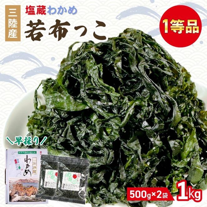 早採り 塩蔵わかめ 若芽っこ 500g×2袋 海鮮 海藻 わかめ ワカメ 贈答品 贈答用 魚貝類 魚介類 みそ汁 スープ 酢の物 小分け 三陸産 岩手県 大船渡市 [saitou006]
