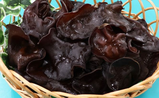 東京都墨田区産　生キクラゲ600g（150g×4パック）　食品 野菜 きのこ キノコ きくらげ キクラゲ 木耳 純国産 新鮮 プリプリ 肉厚 サラダ 和え物 炒め物 鍋