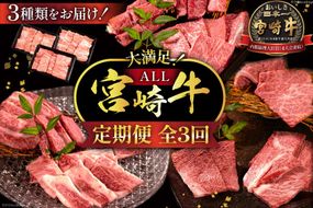 牛肉 定期便 3回 宮崎牛 バラエティAコース 計 1.3kg [ミヤチク 宮崎県 日向市 452061590] セット 冷凍 モモ 焼肉 牛肩ロース ロース バラ