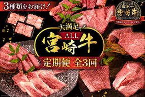 牛肉 定期便 3回 宮崎牛 バラエティAコース 計 1.3kg [ミヤチク 宮崎県 日向市 452061039] セット 冷凍 モモ 焼肉 牛肩ロース ロース バラ