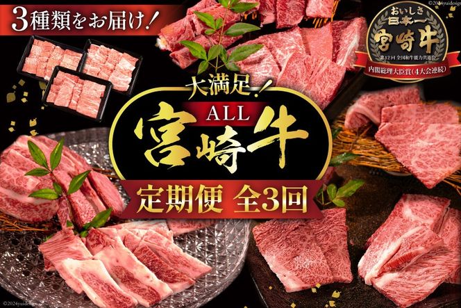 牛肉 定期便 3回 宮崎牛 バラエティAコース 計 1.3kg [ミヤチク 宮崎県 日向市 452061039] セット 冷凍 モモ 焼肉 牛肩ロース ロース バラ