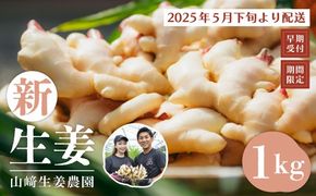 24-746．【早期受付・期間限定】みずみずしさがたまらない！新生姜約1kg【2025年5月下旬～9月上旬配送】