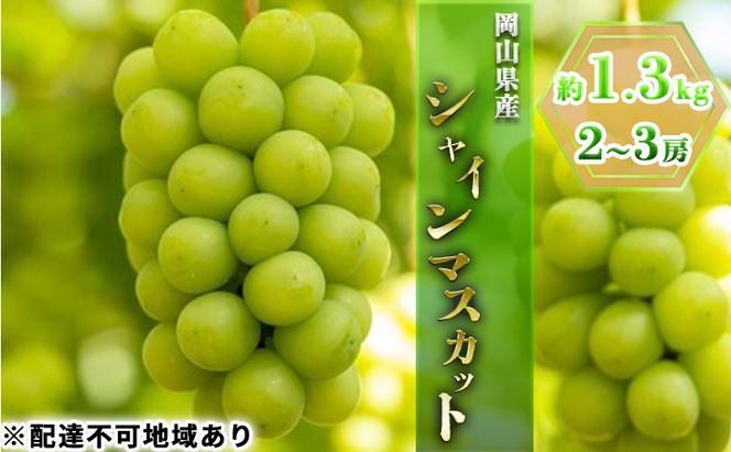ぶどう 2026年 先行予約 シャイン マスカット 約1.3kg 2～3房 ブドウ 葡萄  岡山県産 国産 フルーツ 果物 ギフト