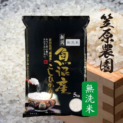 令和7年産　魚沼産コシヒカリ　無洗米　5kg | 米 コメこしひかり 精米 ブランド米 お取り寄せ 十日町市