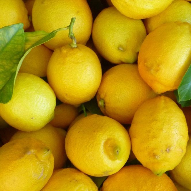 豊島レモン果汁 720ml×6本 果物類 柑橘類 檸檬