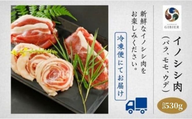 イノシシ肉 食べ比べセット（バラ　モモ　ウデ） 合計530g de004n00