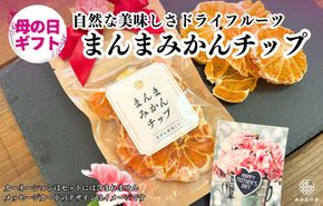 【母の日ギフト】みかん ドライフルーツ まんまみかんチップ 100g ( 20g × 5袋 ) 和歌山県産 果物使用 国内製造 【みかんの会】  AX354