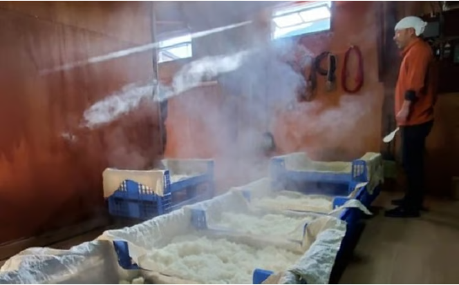 純米吟醸 橙の英君 720ml×1本 [№5735-1743]