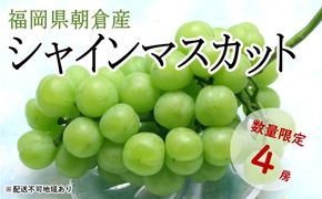 シャインマスカット 4房 正箱（約1.8～2kg）★(有)ティース【配送不可：沖縄・離島】 果物類 ぶどう フルーツ ブドウ 