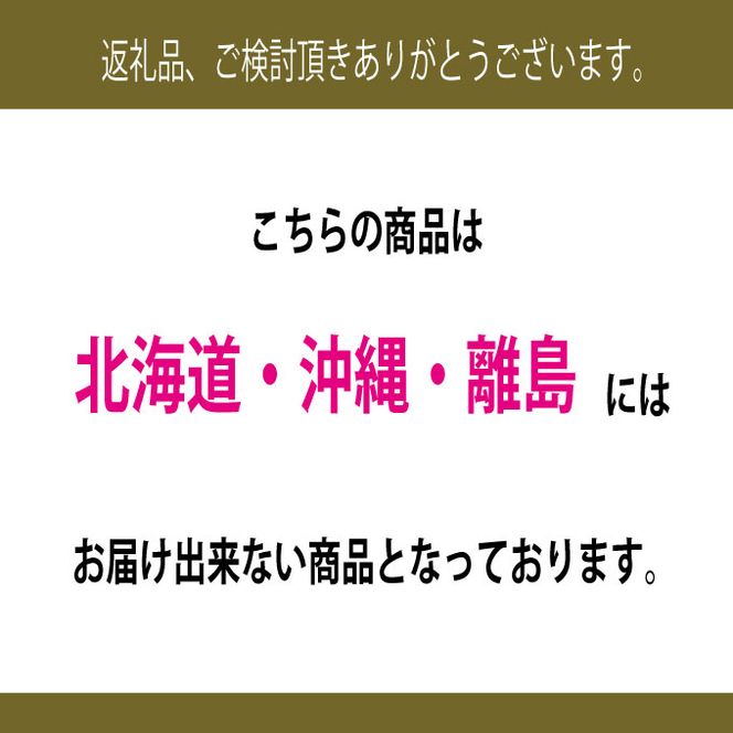 ぶどう 2026年 先行予約 9月・10月発送 高級品 シャインマスカット 晴王 1房 約600g ブドウ 葡萄 岡山県産 船穂産 フルーツ 果物 ギフト