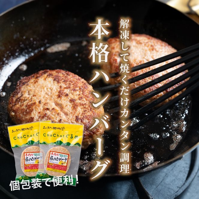 宮崎県産 ポークハンバーグ個包装(20個/冷凍)　K16_0164