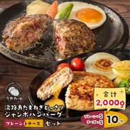 淡路島たまねぎどっさりジャンボハンバーグ プレーン＆チーズセット 200g×10個　ハンバーグ