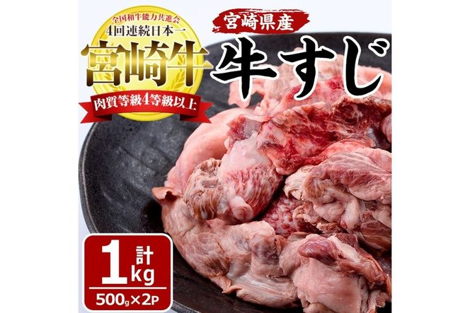 宮崎牛すじ(計1kg・500g×2袋)牛スジ肉 国産 牛肉 和牛 お肉 おにく 宮崎県産 ブランド牛 小分け おでん カレー 煮込み料理 鍋【MF-6】【株式会社エムファーム】