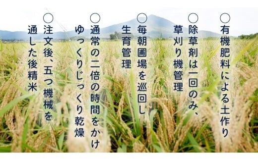 【 選べる お届け回数 】【訳あり】 再生 二期作 コシヒカリ 精米 5kg ＆ つきあかり 精米 5kg 令和7年産 再生二毛作 米 お米 コメ 白米 茨城県 新生活 応援 定期便 [EX011ci00]