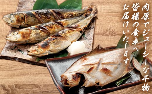【2027年2月下旬発送】訳あり 干物・切身 セット 4.7kg 規格外 傷 不揃い