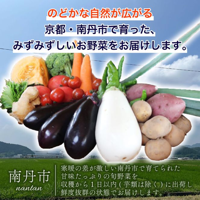旬のお野菜詰め合わせ 京野菜セット 8種類　全3回