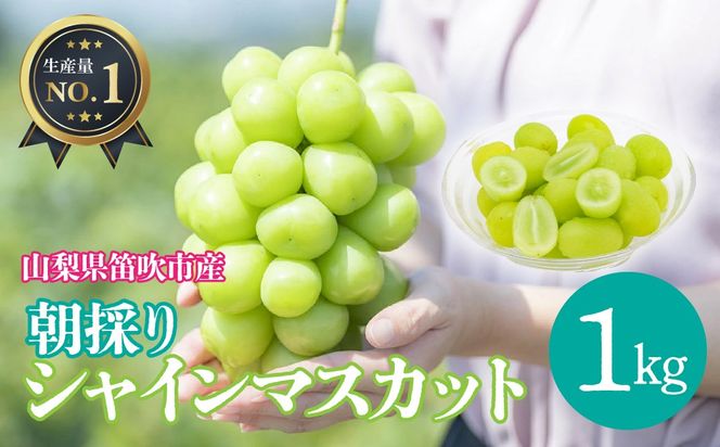 【2026年発送★先行予約】笛吹市産シャインマスカット1キロ以上（2房）　※クール便配送 113-003-26y