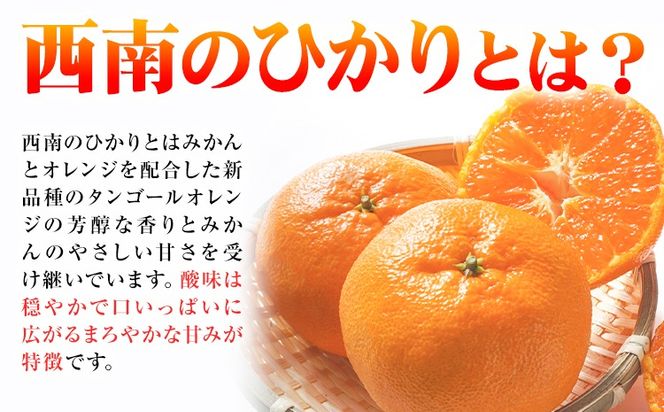西南のひかり 約5kg さかもと果樹園《12月中旬-12月末頃出荷》熊本県 玉名郡 玉東町 みかん 柑橘 フルーツ 果物 ご家庭用 サイズミックス---gkt_skm_6_5kg---