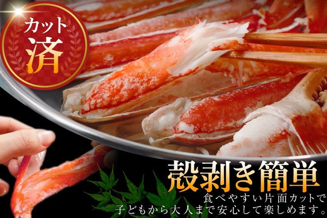 かに カット済 生 ずわいがに むき身 セット 総重量 750g (正味重量600g) 2-3Lサイズ [カネダイ 宮城県 気仙沼市 20565652] かに カニ ズワイガニ ずわい ズワイ 蟹 棒肉 ポーション かに鍋 かにしゃぶ 生ずわい
