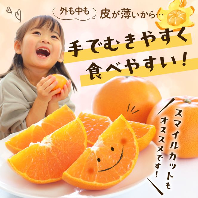 【2027年先行予約】せとか 秀品 約2.8kg 和歌山県有田産 春みかん 春柑橘 (果実サイズおまかせ)/紀伊国屋文左衛門本舗_V7411