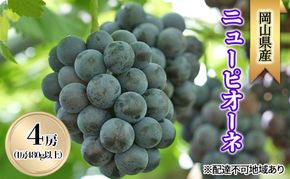 ぶどう 2026年 先行予約 ニューピオーネ4房(1房480g以上) ブドウ 葡萄 岡山県産 国産 フルーツ 果物 ギフト [№5735-2005]