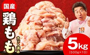 mrz0390 【特別規格】国産 鶏もも肉 切身 5kg 【カット済み 氷温熟成×極味付け 小分け 味付き 簡単調理 訳あり サイズ不揃い 鶏肉 とり 圧倒的企業努力】