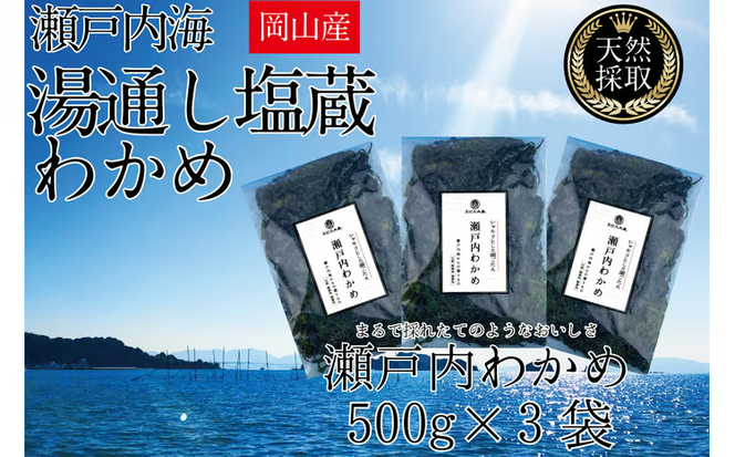 湯通し塩蔵 瀬戸内 わかめ 500g×3袋【岡山 瀬戸内海 天然 塩蔵】 [№5735-1281]