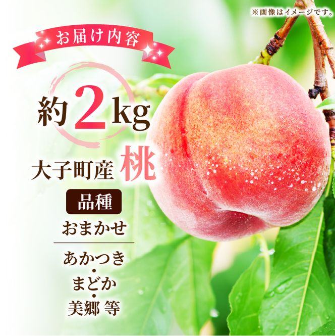 【先行予約・数量限定】大子町産「桃」約2kg 品種おまかせ（あかつき・まどか・美郷 等）｜茨城県 大子町 令和8年産 もも モモ フルーツ 果物 おまかせ 詰め合わせ 産地直送 旬 人気 厳選 奥久慈りんご園（AI007）