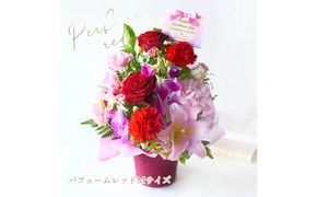 【母の日】パフュームレッドMサイズ＜お届け日：2026年5/8～5/10 当店おまかせ ＞母の日カード付き【 母の日 ギフト アレンジ 花 贈り物 大阪府 門真市 】 272230_BG115