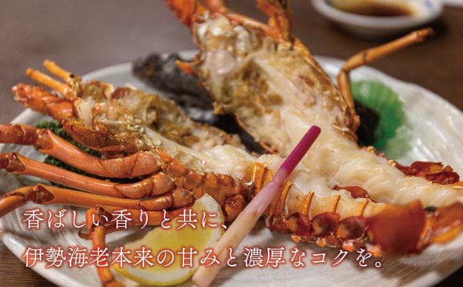 数量限定 豪華 海鮮福袋 伊勢海老 クエ セット 20000円 冷凍 人気 お楽しみ 海鮮セット 伊勢エビ 個包装 天然 いせえび 養殖 くえ ランキング 魚介 アラ 年末年始 お正月 おせち 贅沢 福袋 鍋 クエ鍋 しゃぶしゃぶ 味噌汁 ハマスイ 愛南町 愛媛県