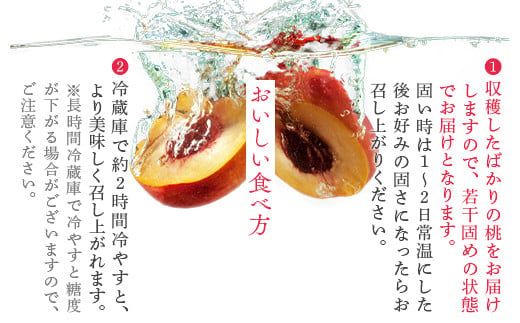 透過式光センサーあかつき桃 特秀3kg相当 9玉～11玉＜ ふくしま未来農業協同組合 ＞ | ふくしま 桃 福島 もも 国見 モモ ※2026年7月中旬～8月上旬頃に順次発送予定 ※沖縄・離島への配送不可