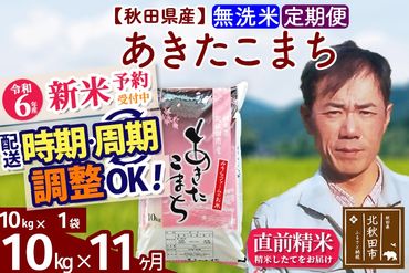 ※令和6年産 新米予約※《定期便11ヶ月》秋田県産 あきたこまち 10kg【無洗米】(10kg袋) 2024年産 お届け時期選べる お届け周期調整可能 隔月に調整OK お米 みそらファーム|msrf-30611