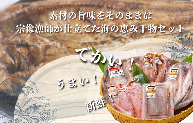 北野水産加工おすすめ干物詰合せ【道の駅むなかた】_HA1819